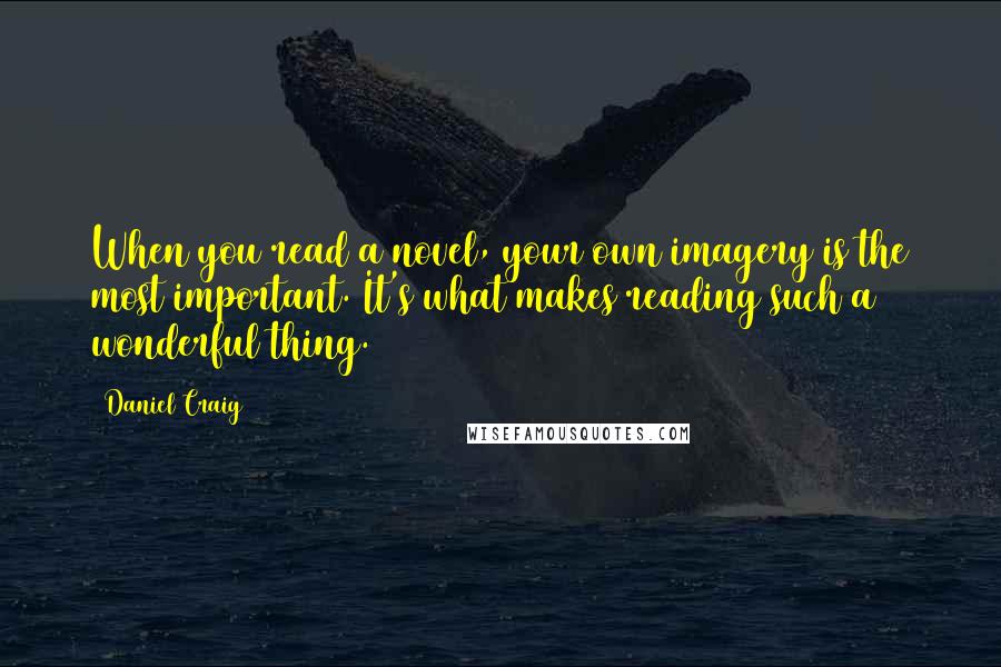 Daniel Craig Quotes: When you read a novel, your own imagery is the most important. It's what makes reading such a wonderful thing.