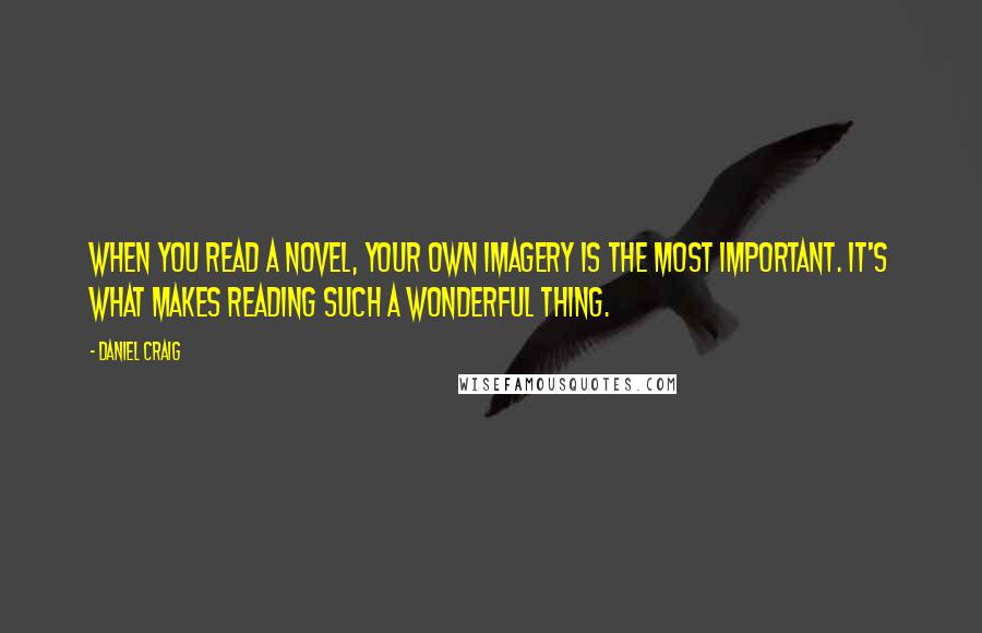 Daniel Craig Quotes: When you read a novel, your own imagery is the most important. It's what makes reading such a wonderful thing.