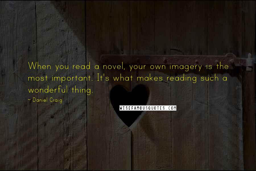 Daniel Craig Quotes: When you read a novel, your own imagery is the most important. It's what makes reading such a wonderful thing.