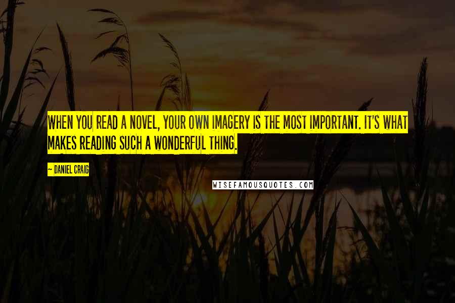Daniel Craig Quotes: When you read a novel, your own imagery is the most important. It's what makes reading such a wonderful thing.