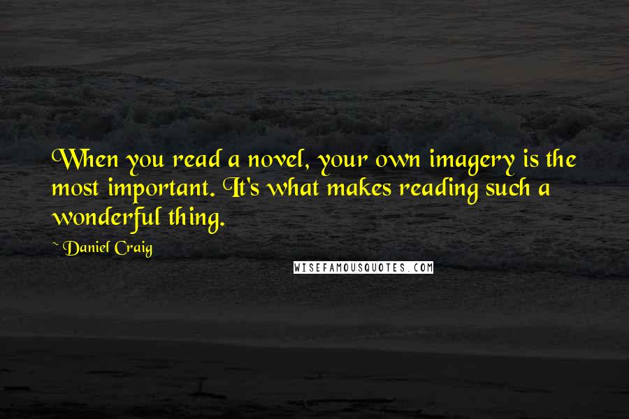 Daniel Craig Quotes: When you read a novel, your own imagery is the most important. It's what makes reading such a wonderful thing.