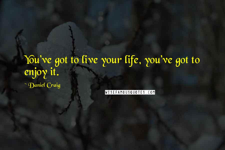 Daniel Craig Quotes: You've got to live your life, you've got to enjoy it.