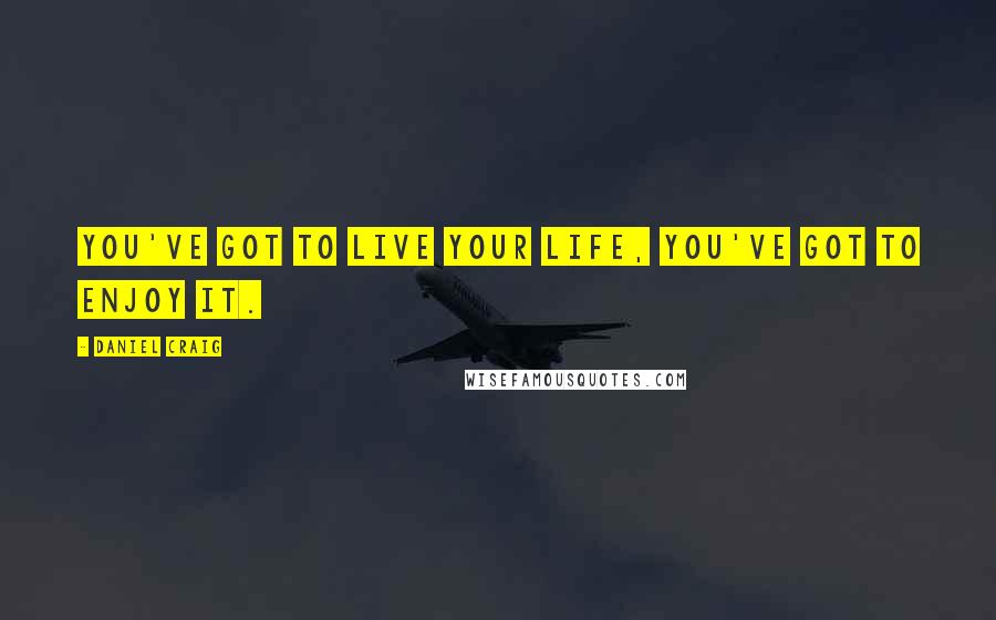 Daniel Craig Quotes: You've got to live your life, you've got to enjoy it.