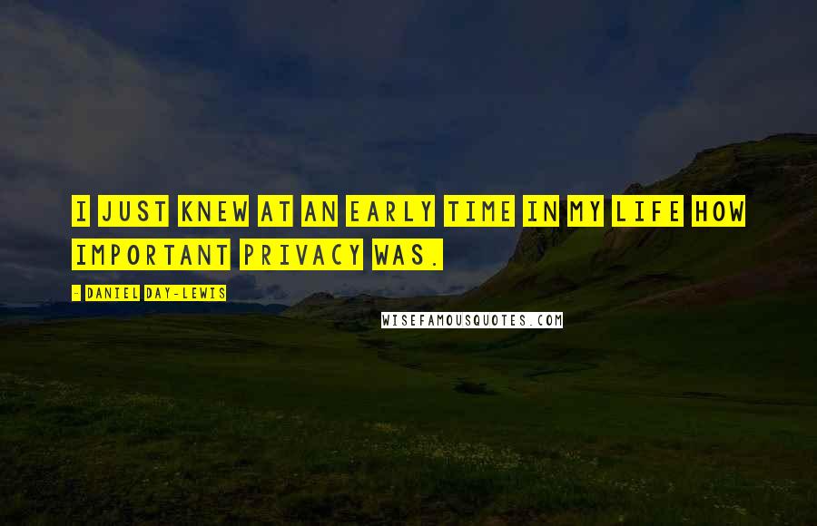 Daniel Day-Lewis Quotes: I just knew at an early time in my life how important privacy was.