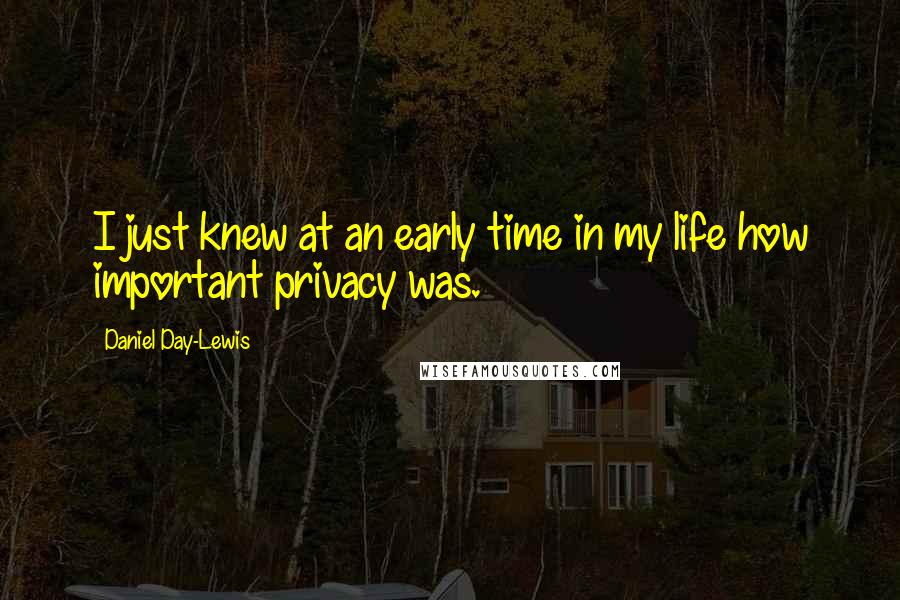 Daniel Day-Lewis Quotes: I just knew at an early time in my life how important privacy was.