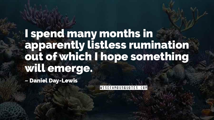 Daniel Day-Lewis Quotes: I spend many months in apparently listless rumination out of which I hope something will emerge.