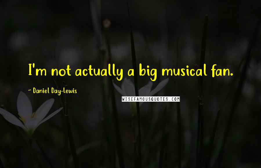 Daniel Day-Lewis Quotes: I'm not actually a big musical fan.