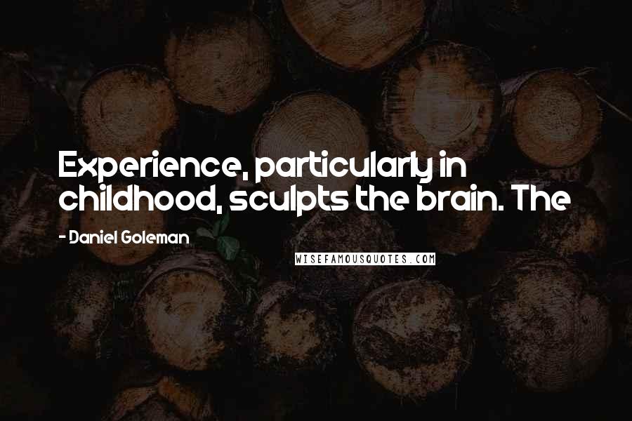 Daniel Goleman Quotes: Experience, particularly in childhood, sculpts the brain. The