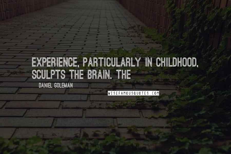 Daniel Goleman Quotes: Experience, particularly in childhood, sculpts the brain. The