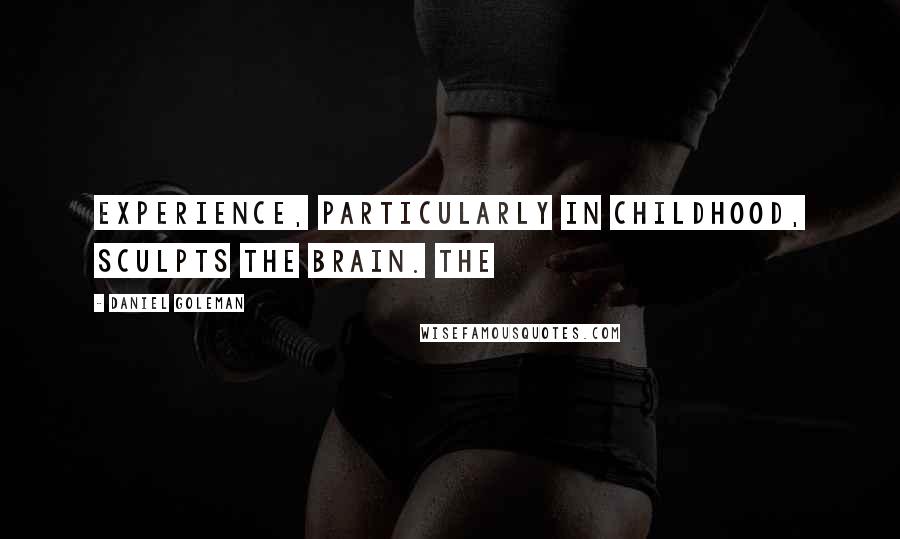 Daniel Goleman Quotes: Experience, particularly in childhood, sculpts the brain. The