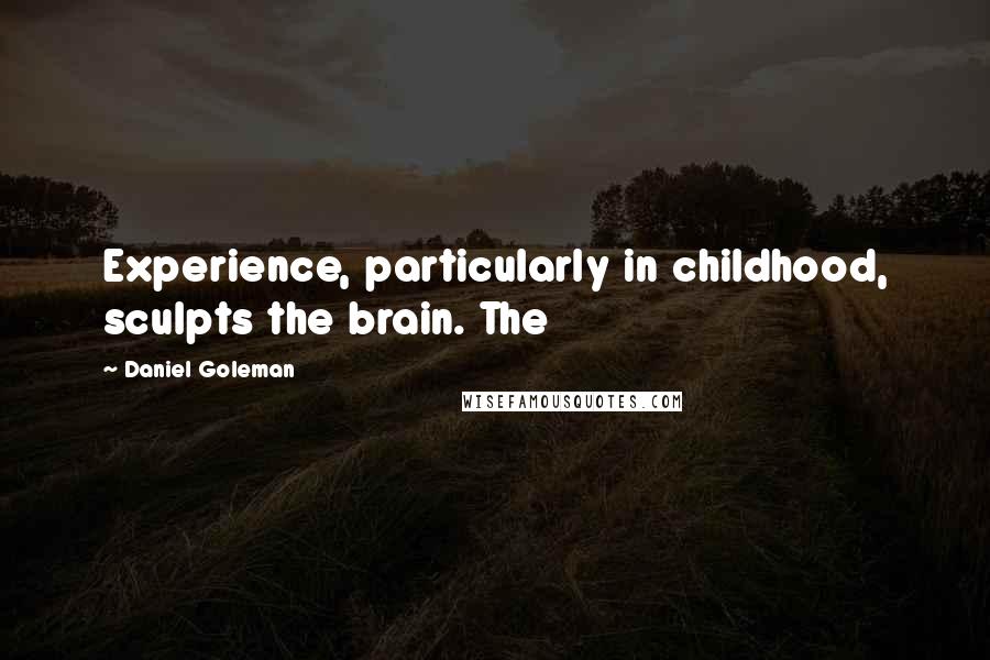 Daniel Goleman Quotes: Experience, particularly in childhood, sculpts the brain. The