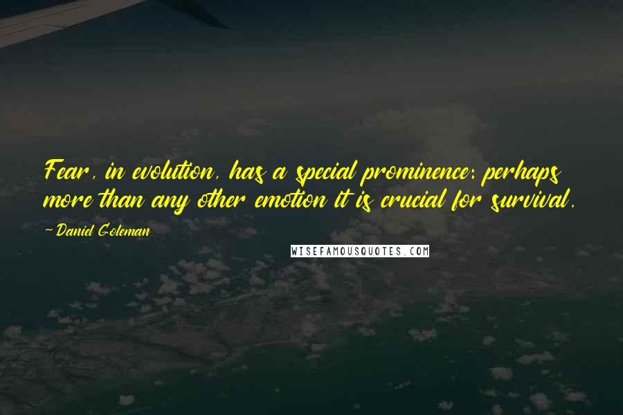 Daniel Goleman Quotes: Fear, in evolution, has a special prominence: perhaps more than any other emotion it is crucial for survival.