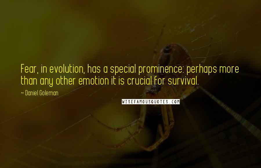 Daniel Goleman Quotes: Fear, in evolution, has a special prominence: perhaps more than any other emotion it is crucial for survival.