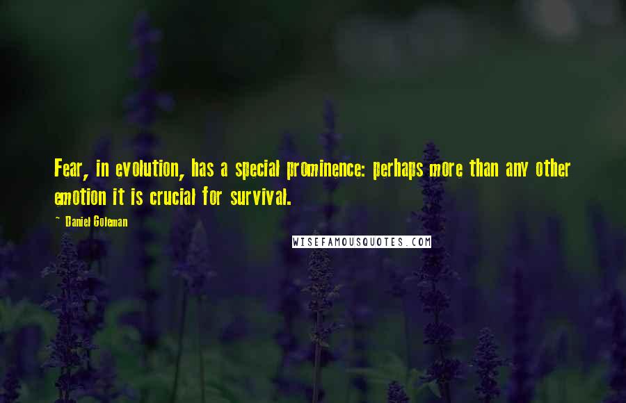 Daniel Goleman Quotes: Fear, in evolution, has a special prominence: perhaps more than any other emotion it is crucial for survival.