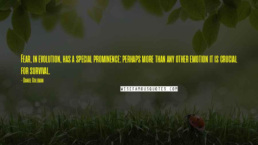 Daniel Goleman Quotes: Fear, in evolution, has a special prominence: perhaps more than any other emotion it is crucial for survival.