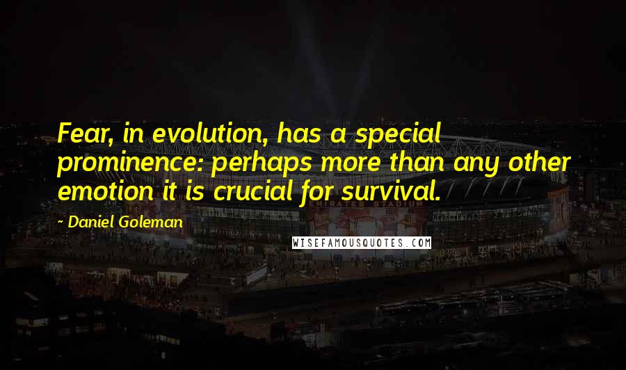 Daniel Goleman Quotes: Fear, in evolution, has a special prominence: perhaps more than any other emotion it is crucial for survival.