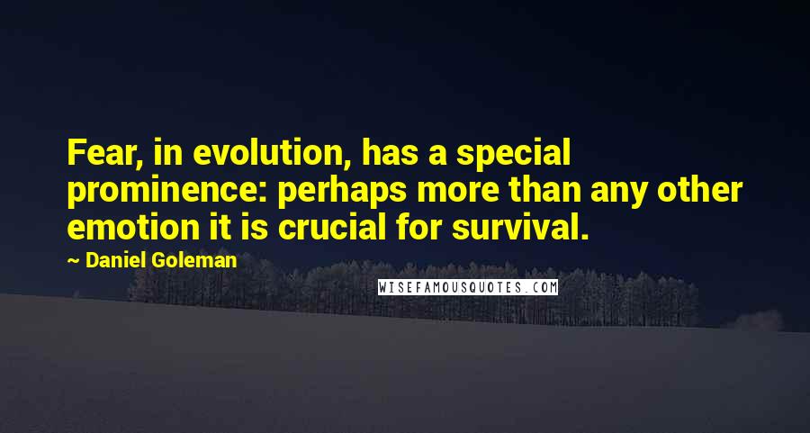 Daniel Goleman Quotes: Fear, in evolution, has a special prominence: perhaps more than any other emotion it is crucial for survival.