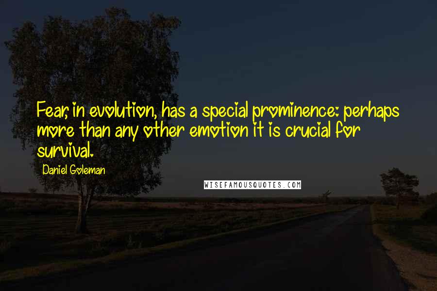 Daniel Goleman Quotes: Fear, in evolution, has a special prominence: perhaps more than any other emotion it is crucial for survival.