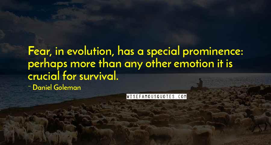 Daniel Goleman Quotes: Fear, in evolution, has a special prominence: perhaps more than any other emotion it is crucial for survival.