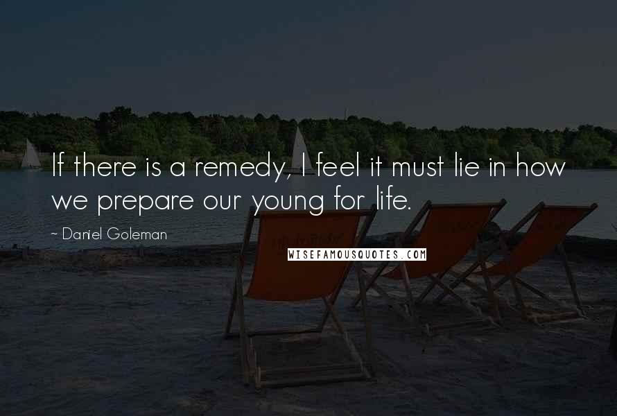 Daniel Goleman Quotes: If there is a remedy, I feel it must lie in how we prepare our young for life.