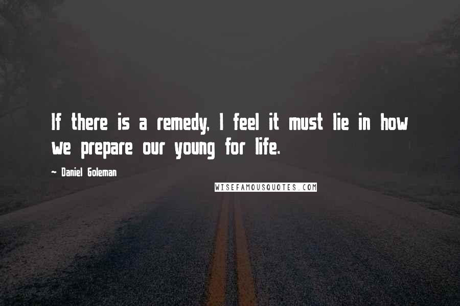 Daniel Goleman Quotes: If there is a remedy, I feel it must lie in how we prepare our young for life.