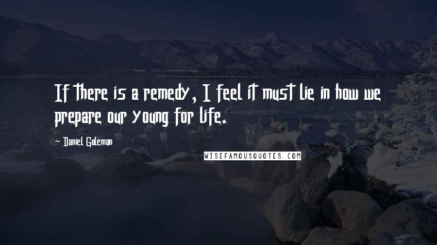 Daniel Goleman Quotes: If there is a remedy, I feel it must lie in how we prepare our young for life.