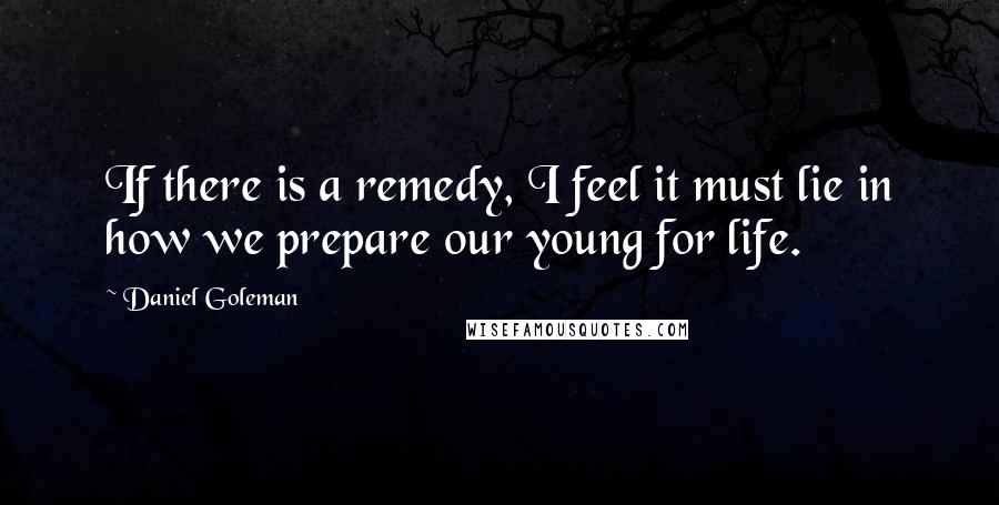 Daniel Goleman Quotes: If there is a remedy, I feel it must lie in how we prepare our young for life.