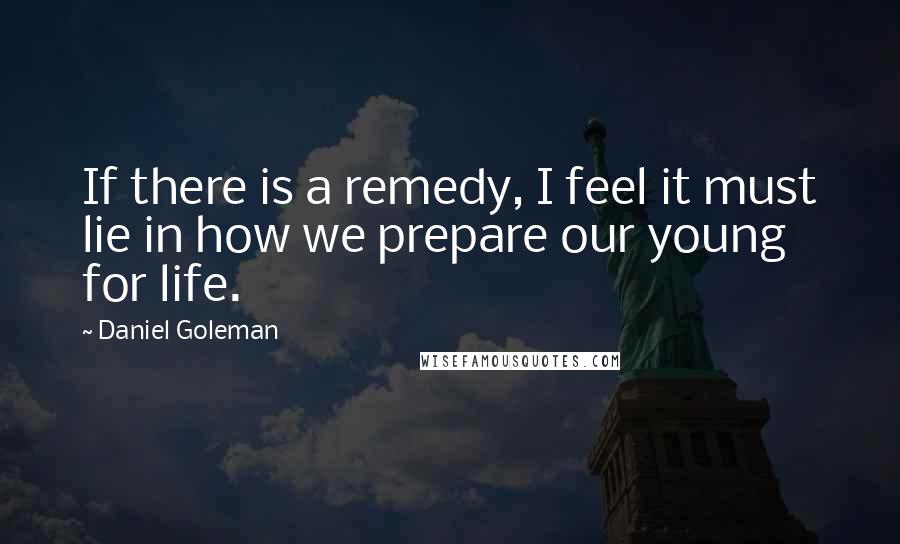 Daniel Goleman Quotes: If there is a remedy, I feel it must lie in how we prepare our young for life.