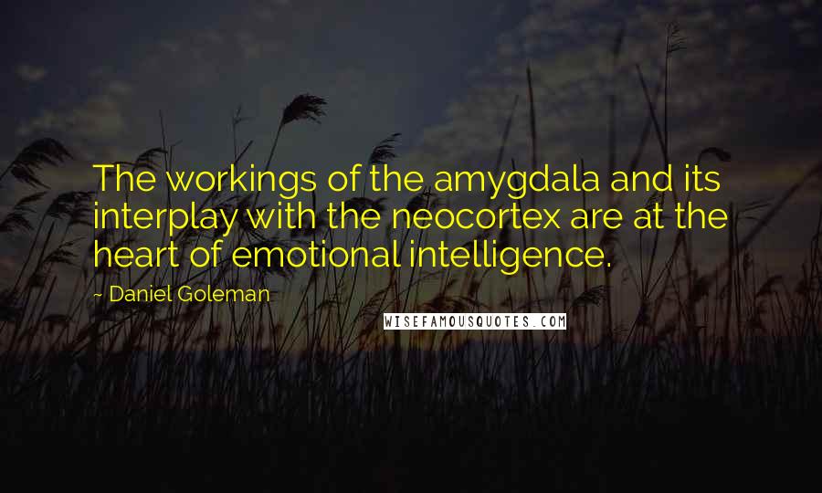 Daniel Goleman Quotes: The workings of the amygdala and its interplay with the neocortex are at the heart of emotional intelligence.