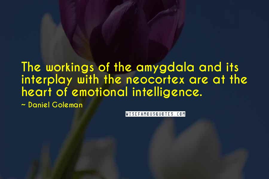 Daniel Goleman Quotes: The workings of the amygdala and its interplay with the neocortex are at the heart of emotional intelligence.