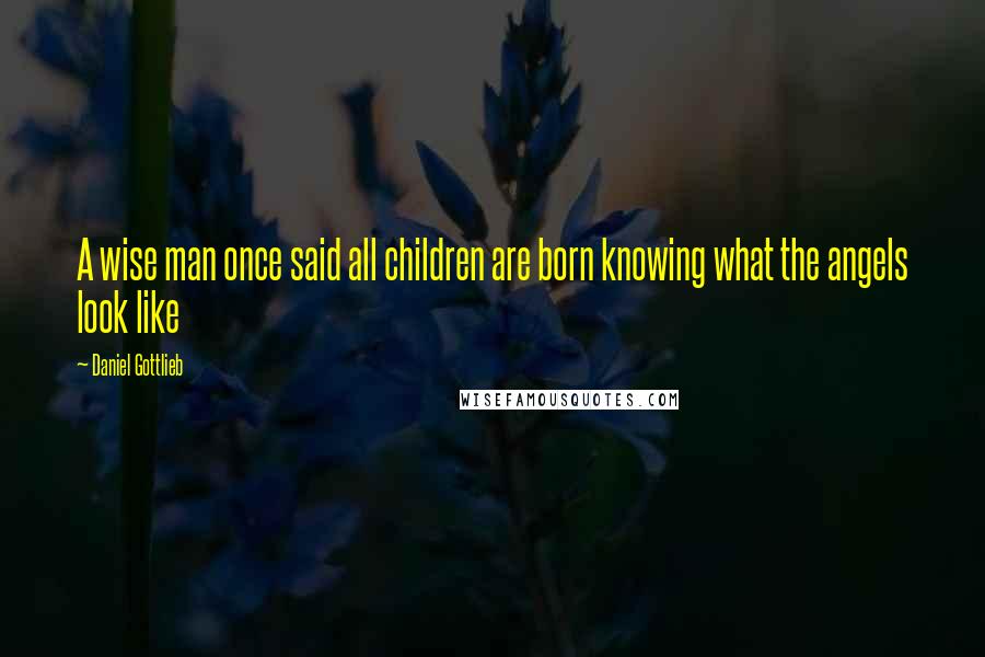 Daniel Gottlieb Quotes: A wise man once said all children are born knowing what the angels look like