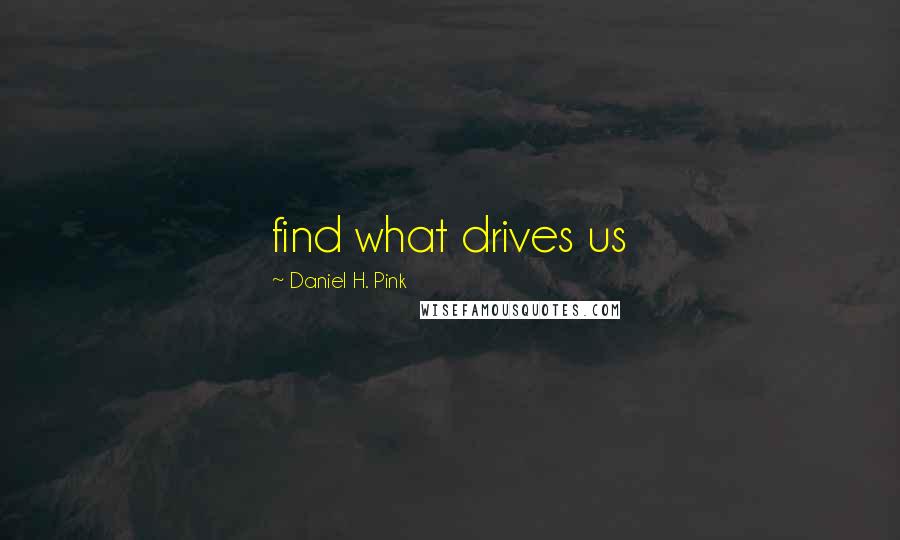 Daniel H. Pink Quotes: find what drives us