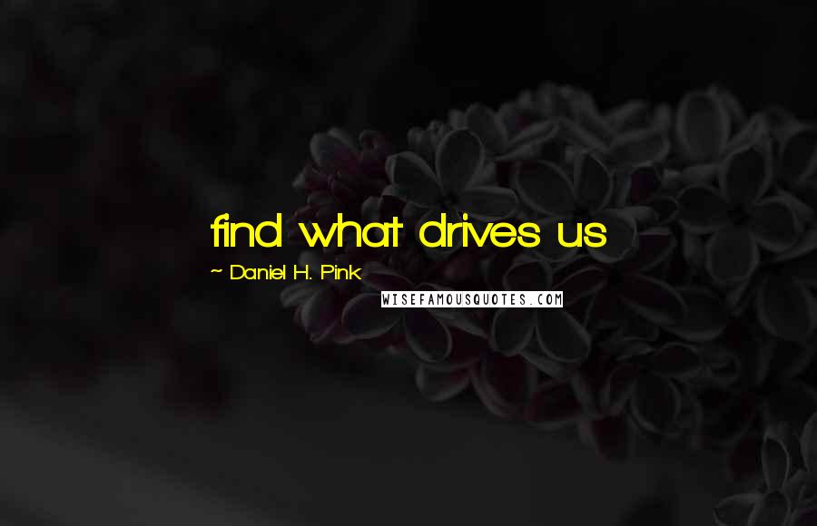 Daniel H. Pink Quotes: find what drives us