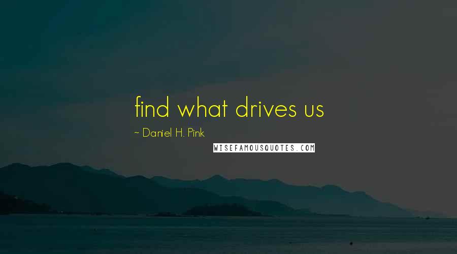 Daniel H. Pink Quotes: find what drives us