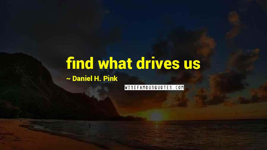 Daniel H. Pink Quotes: find what drives us