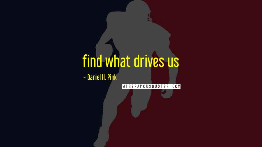 Daniel H. Pink Quotes: find what drives us