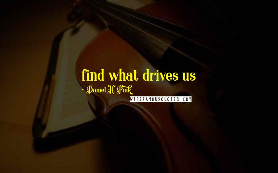 Daniel H. Pink Quotes: find what drives us