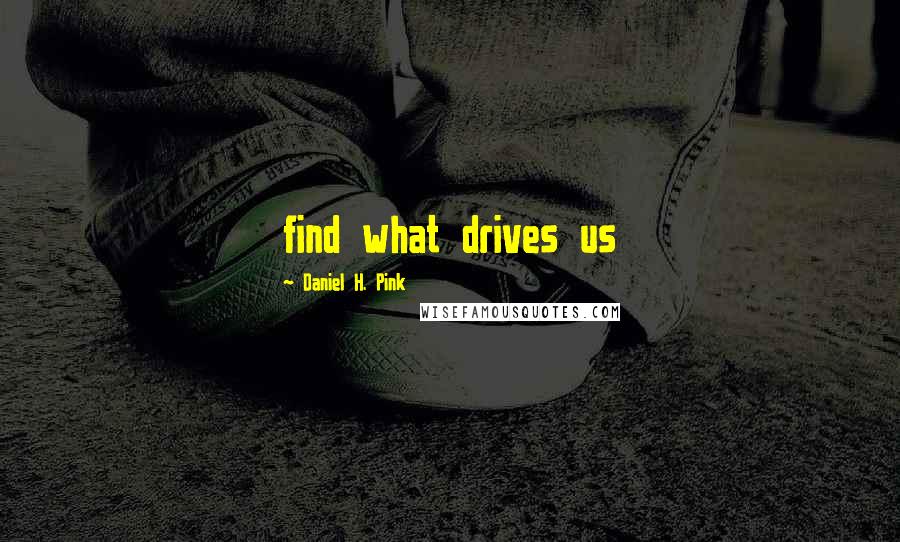 Daniel H. Pink Quotes: find what drives us