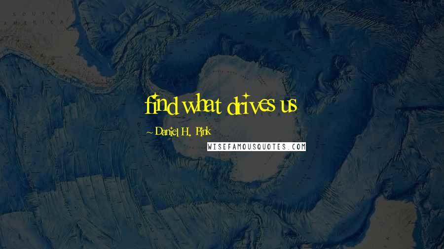 Daniel H. Pink Quotes: find what drives us