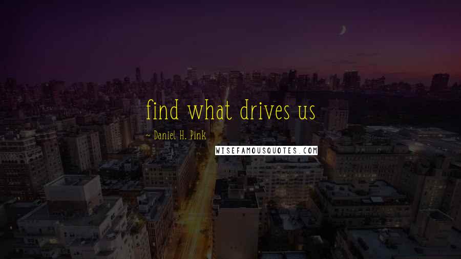 Daniel H. Pink Quotes: find what drives us
