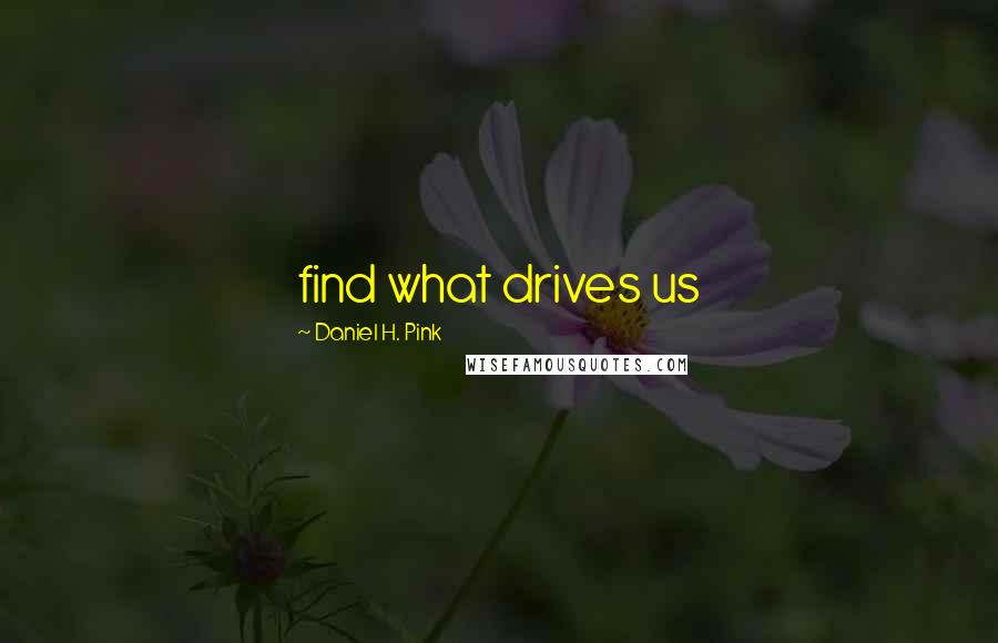 Daniel H. Pink Quotes: find what drives us