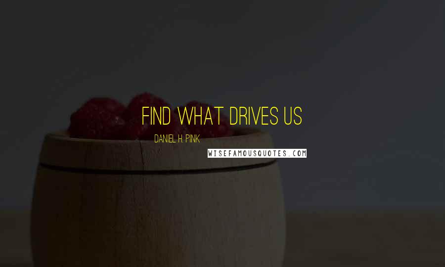 Daniel H. Pink Quotes: find what drives us