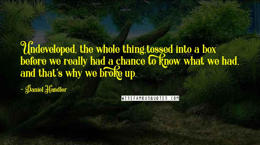 Daniel Handler Quotes: Undeveloped, the whole thing,tossed into a box before we really had a chance to know what we had, and that's why we broke up.