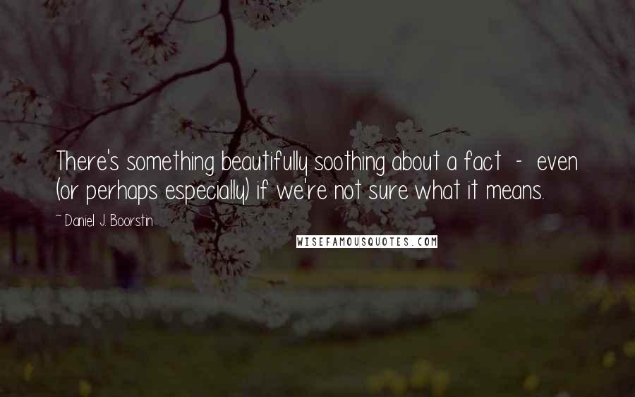 Daniel J. Boorstin Quotes: There's something beautifully soothing about a fact - even (or perhaps especially) if we're not sure what it means.