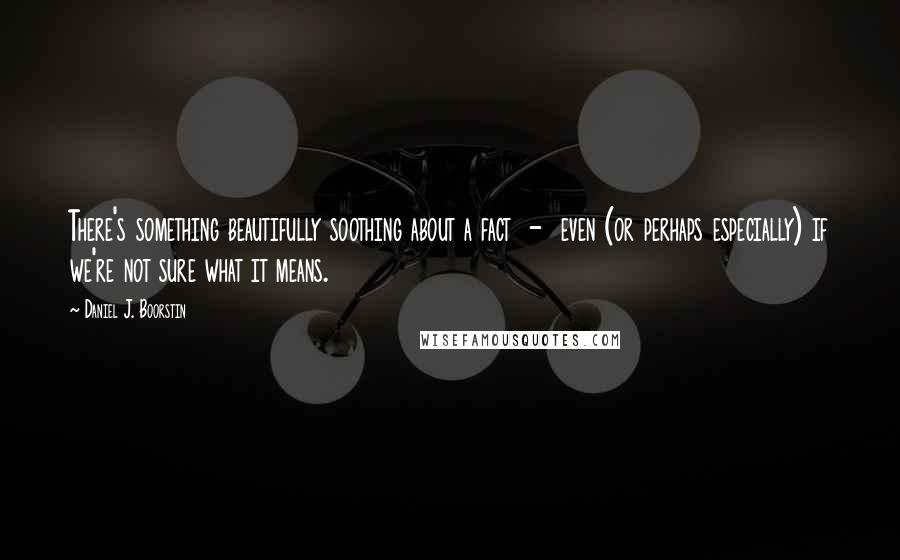 Daniel J. Boorstin Quotes: There's something beautifully soothing about a fact  -  even (or perhaps especially) if we're not sure what it means.