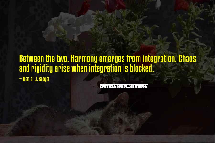 Daniel J. Siegel Quotes: Between the two. Harmony emerges from integration. Chaos and rigidity arise when integration is blocked.