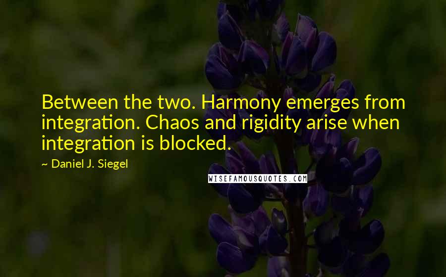 Daniel J. Siegel Quotes: Between the two. Harmony emerges from integration. Chaos and rigidity arise when integration is blocked.