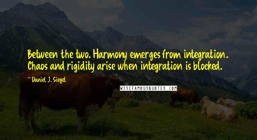 Daniel J. Siegel Quotes: Between the two. Harmony emerges from integration. Chaos and rigidity arise when integration is blocked.