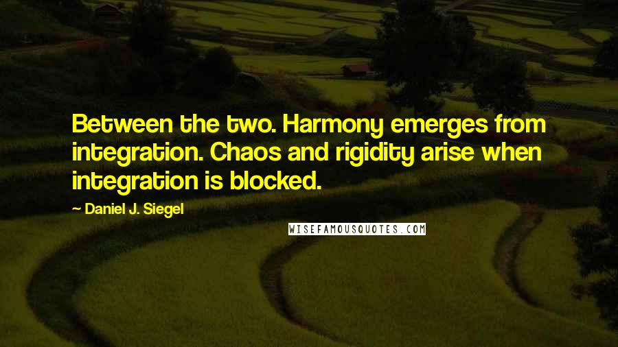 Daniel J. Siegel Quotes: Between the two. Harmony emerges from integration. Chaos and rigidity arise when integration is blocked.