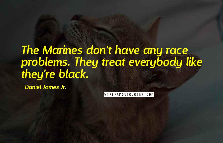 Daniel James Jr. Quotes: The Marines don't have any race problems. They treat everybody like they're black.